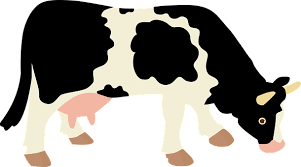 Moo cow earflap hat pattern by adrienne engar. Cow Knitting Pattern The Kid In You Will Love This One Knitting For Profit
