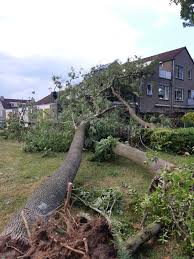 In het utrechtse leersum zijn vrijdag negen mensen gewond geraakt als gevolg van noodweer. Rg Bxhobsrdexm