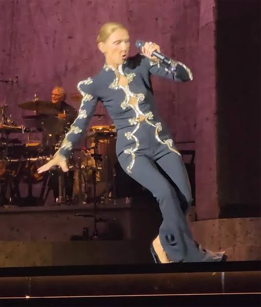 Celine Dion takes scary tumble onstage during Paris residency — and doesn't  miss a single beat
