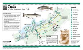 It is 800 sqft, has 2 bedrooms, plus a loft with 3 beds, so 5 beds total. Trails Of Lake Livingston State Park The Portal To Texas History