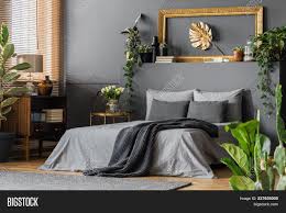 Grey is a versatile color , clean, understated, effortless. Gold Grey Elegant Image Photo Free Trial Bigstock