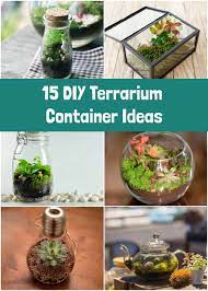 Diy Terrariums Everything You Need To Know To Build Your Own Terrarium Diy Diy Succulent Terrarium Terrarium