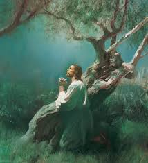 The word gethsemane translates to oil press referring to olive oil due to the many olive trees in the area. Jesus Praying In Gethsemane Christ In Gethsemane