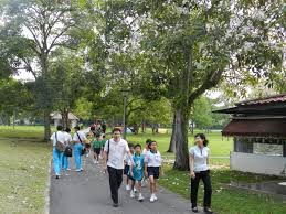The virus spread to a family member and another person identified as a close contact. Pasir Ris Town Park Parks Nature Reserves Gardens Parks Nature National Parks Board Nparks