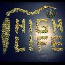 Pin En Ganja
