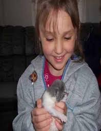 School iS Not SuppoSed to hurt Update