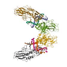 Image result for tbn:e0rIx7nzVbReyM::qamarzaman.jeeran.com/%D8%AA%D8%AF%D9%85%D8%B12.jpg