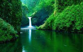 Waterfall Grass Trees Waters Landscape Nature Waterfall Wallpaper Hd Nature Wallpapers Background Images