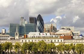 Need to know what kind of bug or rodents are in your house? Best Pest Control London Fast Reliable Effective Solutions