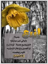 pin by alwan alhamdani on ادعيه وحكم ومواعظ beautiful arabic words arabic words words