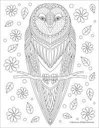Mandala owl coloring pages for adults. Mandala Owl Coloring Page For Adults Coloringbay
