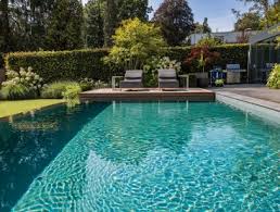 Biotop Der Living Pool Einheit Von Okologie Und Design