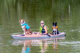 Can you take a dog in an inflatable kayak? How To Kayak With Your Dog American Kennel Club