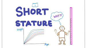 Growth Charts Short Stature