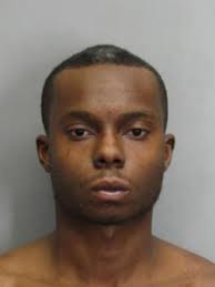 Police K9 Bites Reston Man After Suspect Eludes Officer, Crashes Car