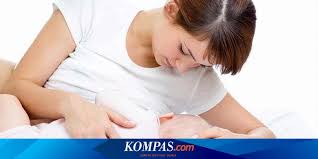 Bayi 0 6 Bulan Cukup Diberi Asi Saja