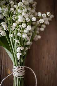 Lilies Of The Valley Beautiful Flowers White Flowers Pretty Flowers