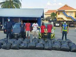 Kedutaan besar as di bangkok memastikan penangkapan warganya. Gagal Seludup 300 Kg Daun Ketum Ke Negara Jiran