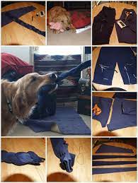 How To Make Dog Toy With Recycled Pants Step By Step Diy Tutorial Instructions How To Instructions Dog Toys Cat Supplies Dogs