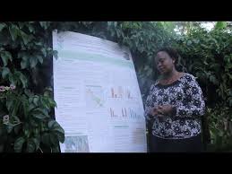 Image result for Telfairia pedata