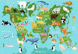 A Z List Of All The Animals In The World
