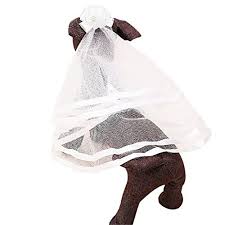 Umstandskleid brautkleid hochzeitskleid schwangere spitzenkleid festlich marina. Brautkleider Schleier Test Vergleich 2021 7 Beste Brautschleier