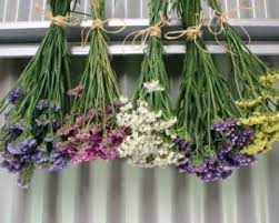 18 Flower Hacks To Brighten Up Your Home Dried Flowers Diy Dried Flowers How To Preserve Flowers