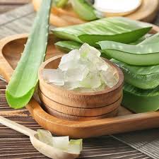Milch und öl sind die basis für die creme, die gegen trockene haut hilft. Aloe Vera Gel Selber Machen So Einfach Geht S Brigitte De
