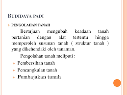 Diskusikan cara merawat tanaman agar lebih sehat dan indah, termasuk cara merawat hewan peliharaan (jika ada). Berdasarkan Hasil Wawancara Dengan Petani Yang Sukses Ppt Download