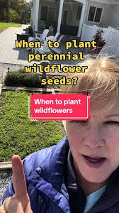 #plantingwildflowers #gardentipsforbeginners #perrenialgardening