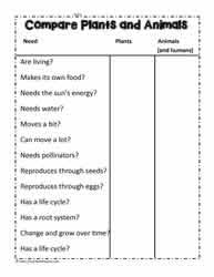 The worksheet is an assortment of 4 intriguing pursuits that will enhance your kid's knowledge and abilities. Parts Of A Plant Worksheets
