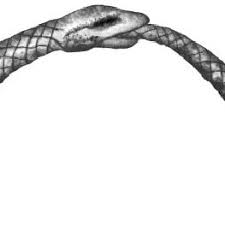 Birçoğu onu heinz von foerster , gordon pask , herbert brün ve ikinci dereceden sibernetik teorisyenlerinden oluşan bir grubun üyesi olarak görüyor. Representacion De La Figura Mitica Ouroboros Dibujo De Gabriel Razeto Download Scientific Diagram