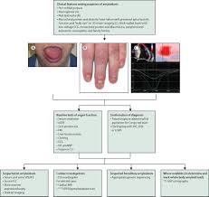 Systemic Amyloidosis The Lancet