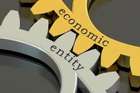 Entity Definition Economic Entity Assumption Types