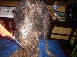 Pin On Untangle Matted Hair