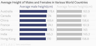 Average Height Of Males And Females In Various World Countries