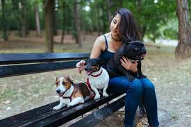You didn't say how old your dog is, but i am assuming she is not a younger dog. Lymphoma In Dogs A Complete Guide To Know Pets Nurturing