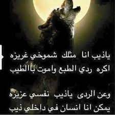 pin by sweetdream on قرآن سنة مناسبة حكم movie posters poster movies