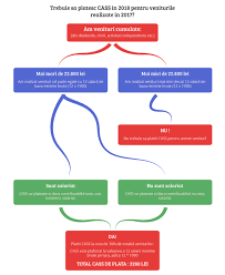 Trebuie Sa Platesc Cass In 2018 Pentru Veniturile Obtinute Din Dividente Chirii Sau Activitati Independente
