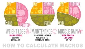 Image result for Nutrition Guidelines