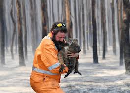 En australia los incendios se clasifican en seis grupos 3 , y en cinco en la comunidad europea: Incendios En Australia 1 000 Millones De Animales Muertos