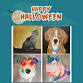 DIY Pet Portraits Class ~ Halloween Edition! event in Norman, OK