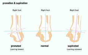 Supination And Pronation What It Means For The Foot And Arm Pronation Kinesiology Taping Feet