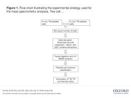 figure 1 flow chart illustrating the experimental strategy