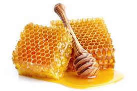 Ketahui khasiat utama madu kelulut mengatasi masalah lesu dan tidak bermaya dengan pengambilan madu dapat membekalkan kerperluan zat besi kepada badan. Proses Lebah Membuat Madu Halaman All Kompas Com