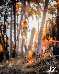New Atharv Raut Background Download Fullhd Dslr Background Images Blur Photo Background Blur Background Photography Download free hd background images.