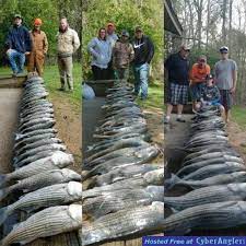 View full clarks hill lake fishing prediction to see all species and best lures and colors to use. Clark S Hill Lake Thurmond Striper And Crappie Report