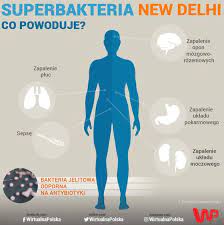Bakteria new delhi w polsce po raz pierwszy new delhi pojawiła się w warszawie w 2011 roku. Kabatiella Pneumoniae Typu New Delhi W Polsce Zygfryd Gdeczyk