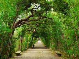 Best City Parks In The World Conde Nast Traveler