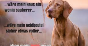 Hundesprüche Hunde